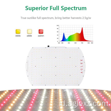 Lampu Tumbuh LED Spektrum Penuh untuk Sayuran